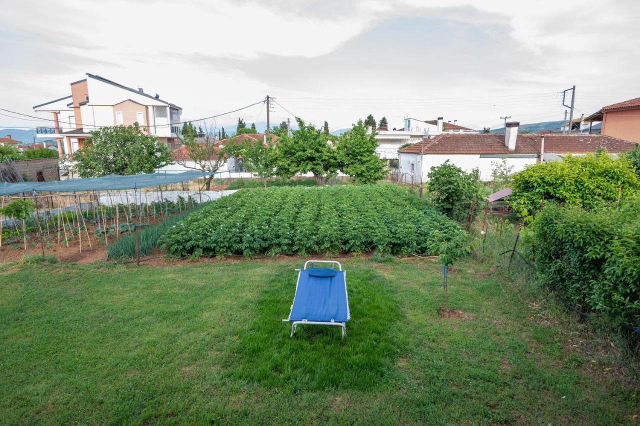 Dream House Ioanninaアパートメント エクステリア 写真