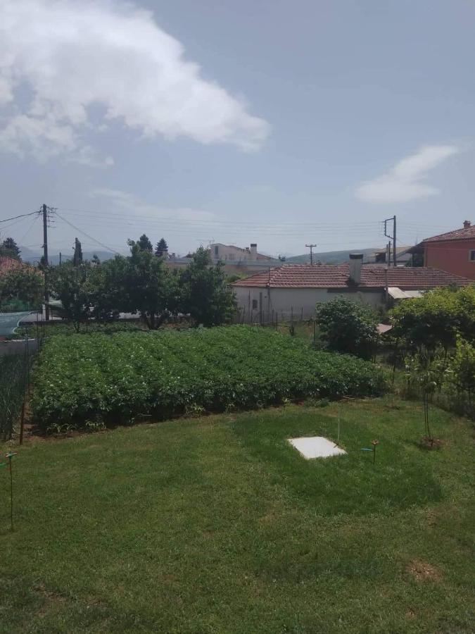 Dream House Ioanninaアパートメント エクステリア 写真