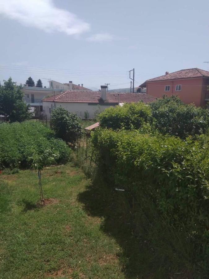Dream House Ioanninaアパートメント エクステリア 写真